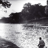 The Swimmer - Barton Springs